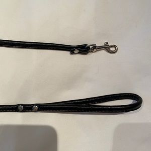 Dog Leash